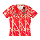 Bayern 2024-25 Pre-Match