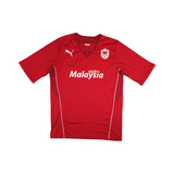 Cardiff 2013-14 Home