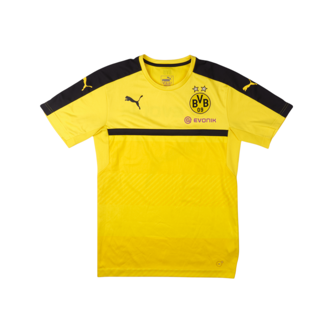 Borussia Dortmund 2016-17 Training