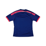 Japan 2014-15 Home