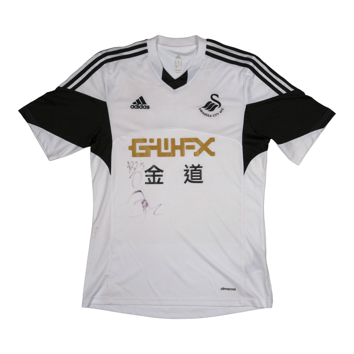 Swansea City