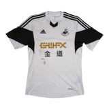 Swansea City