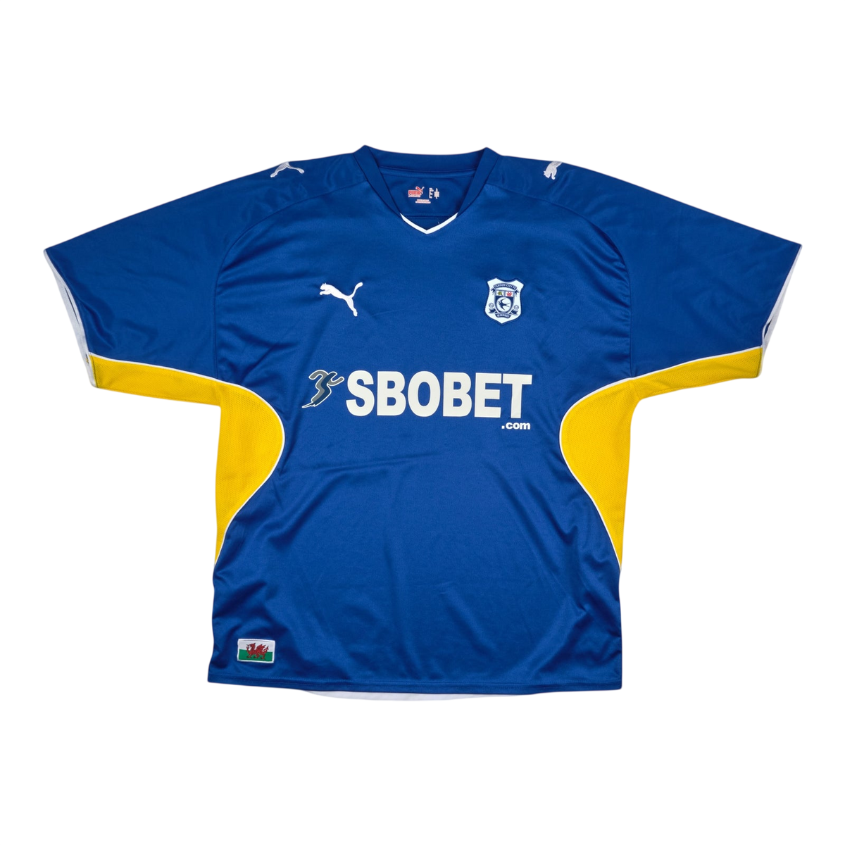 Cardiff City FC 2009-10 Home — football shirt