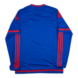 Olympiacos 2015-2016 Away Long Sleeve 90th Anniversary — vintage football shirt, back