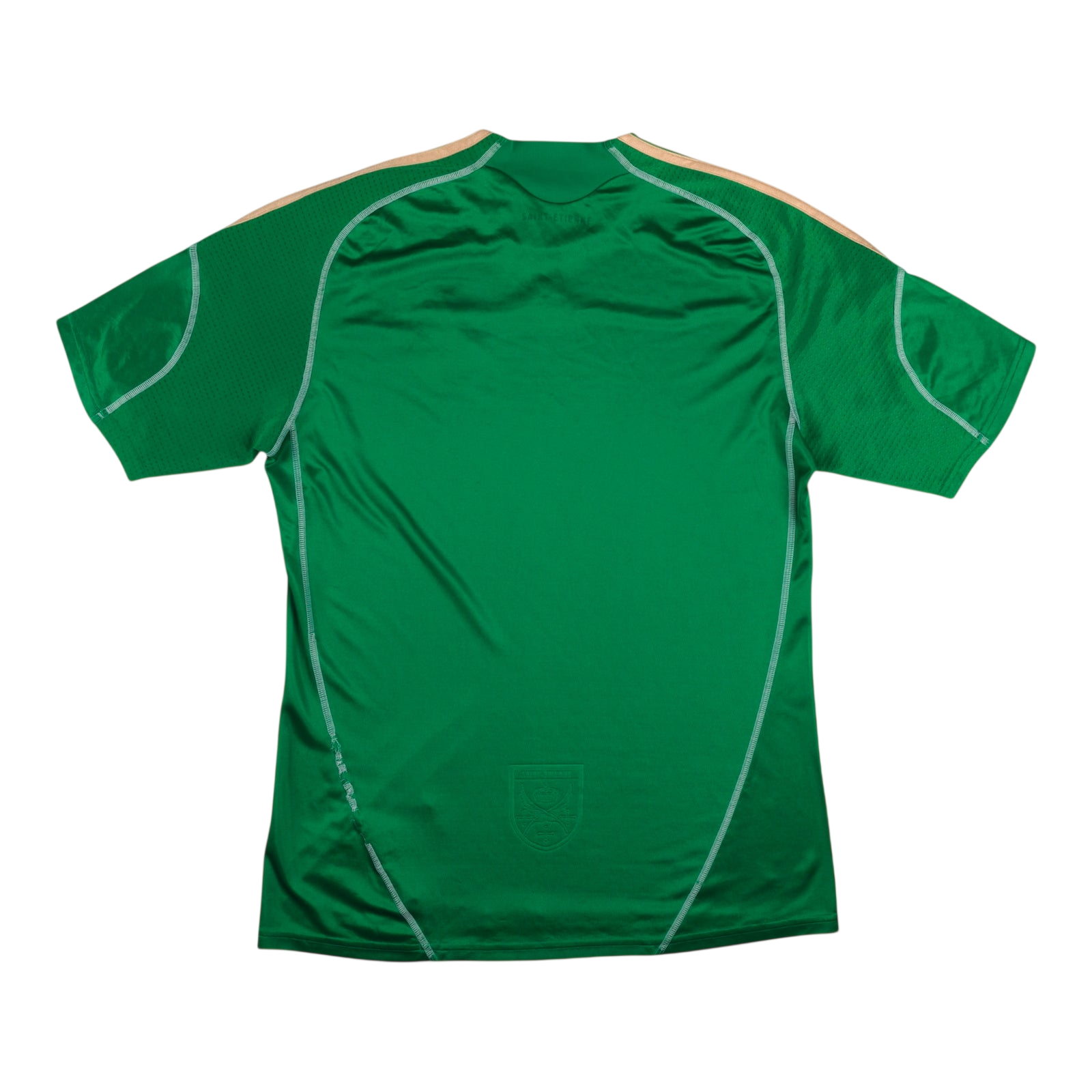 St Etienne 2009-10 Home (Sponsorless) — vintage football shirt, back