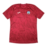 Swansea City 2022-23 Training — football shirt